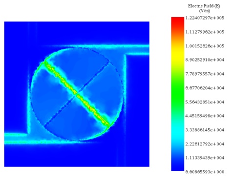 2.4 GHz における電場の分布