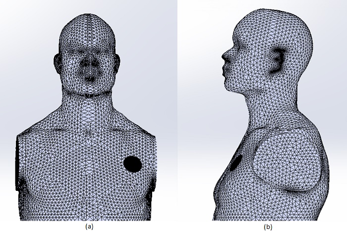 Meshed model: a) Front view, b) Right view